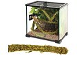 ReptiZoo Jungle Vines Liana mit Moos