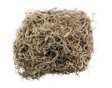 Terrun Moss Nature 50 g