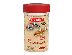 Dajana Mini Neonsalmler Granulat 250ml