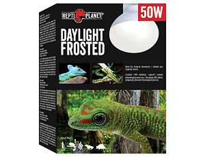 REPTI PLANET Daylight Frosted 50W