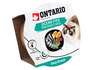 ONTARIO Fresh Brunch Ocean Fish Cup (80 g)