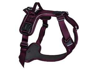 Non-stop Dogwear Hundecheschirr Ramble violett
