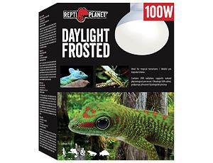 REPTI PLANET Daylight Frosted 100W