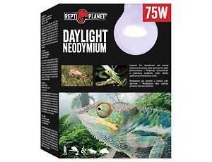 REPTI PLANET Daylight Neodymium 75W