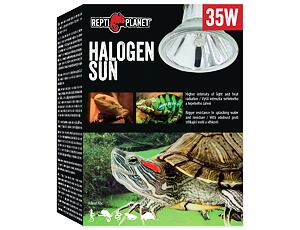 REPTI PLANET Halogen Sun 35W