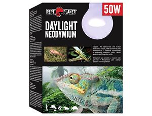 REPTI PLANET Daylight Neodymium 50W