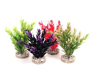 Sydeco Fiesta Ruscus 18 cm mix 1St