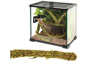 ReptiZoo Jungle Vines Liana mit Moos