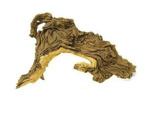 Wurzeln Tropical Wood M