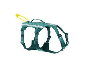 Non-stop Dogwear Ramble long teal