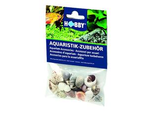 Hobby Muscheln Set S 20stk