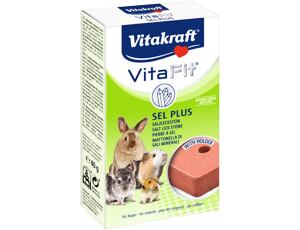 VITAFIT SEL PLUS SALZSTEIN 1 STÜCK /10