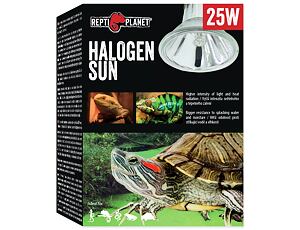 REPTI PLANET Halogen Sun 25W