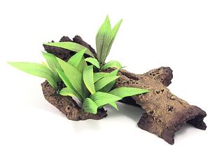 Sydeco Mopani Wood with Plants Medium