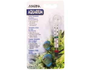Marina Schwimmthermometer mit Sauger  