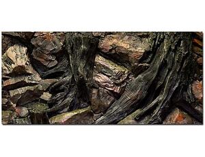 Aquarium 3D Rückwand Wurzel 100 x 50 cm
