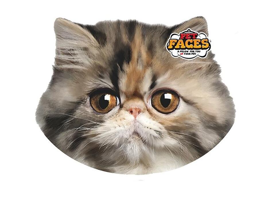 Kissen 3D für Hund oder Herrchen - Persian Cat