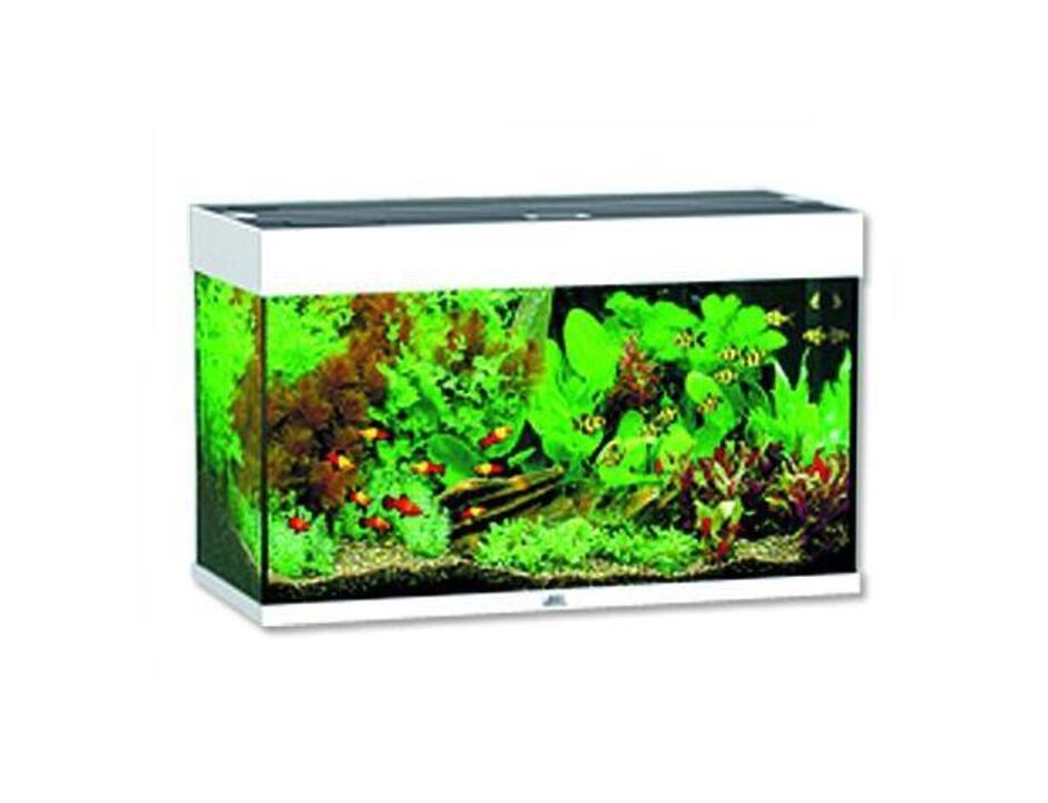 Juwel Rio 125 Aquarium Weiß