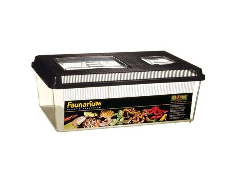 Hagen Exo Terra Faunarium flach L 46x31x17,5cm