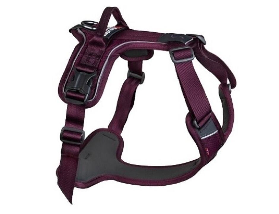Non-stop Dogwear Hundecheschirr Ramble violett