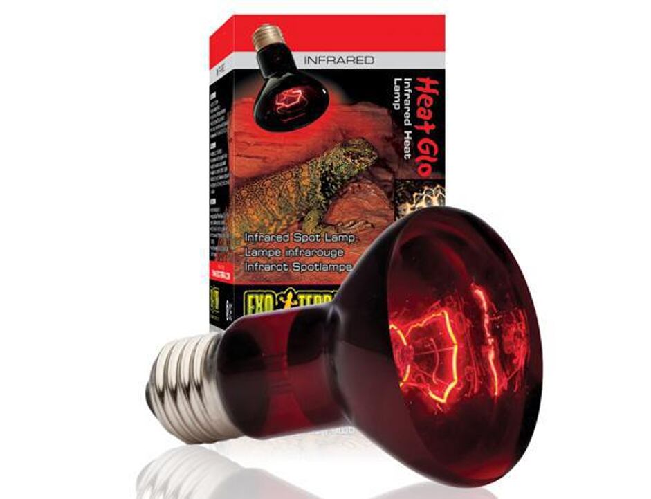 Hagen Exo Terra Heat Glo Infrarot Lampe 50 Watt