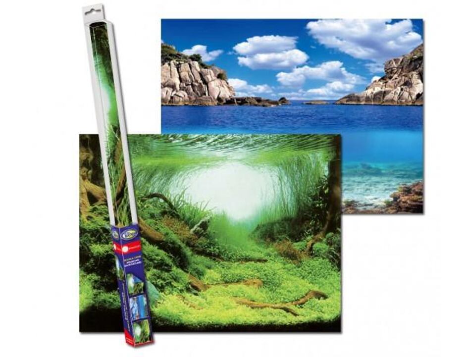 Aqua Nova Rückwand Poster für Aquarium PLANTS/OCEAN S