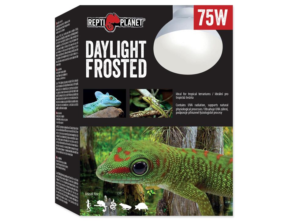 REPTI PLANET Daylight Frosted 75W