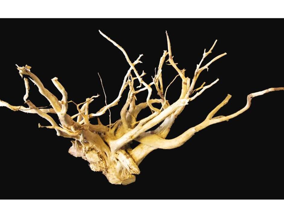 Wurzeln Stoffels Spiderwood mittel 30 cm