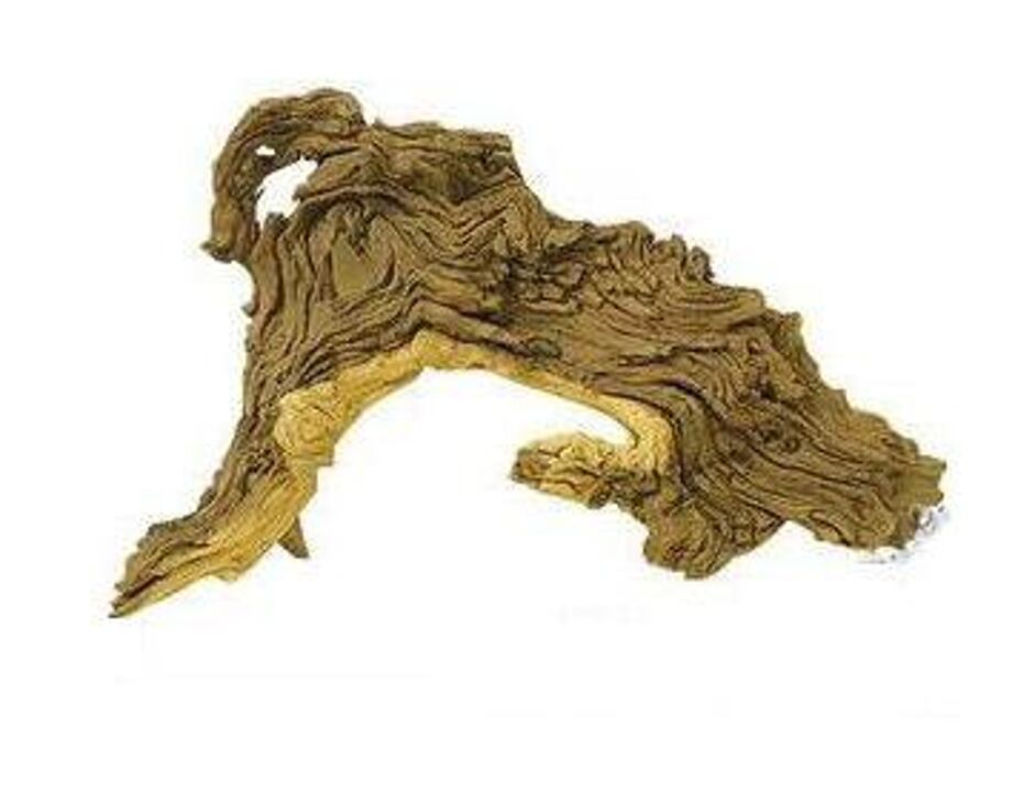 Wurzeln Tropical Wood S