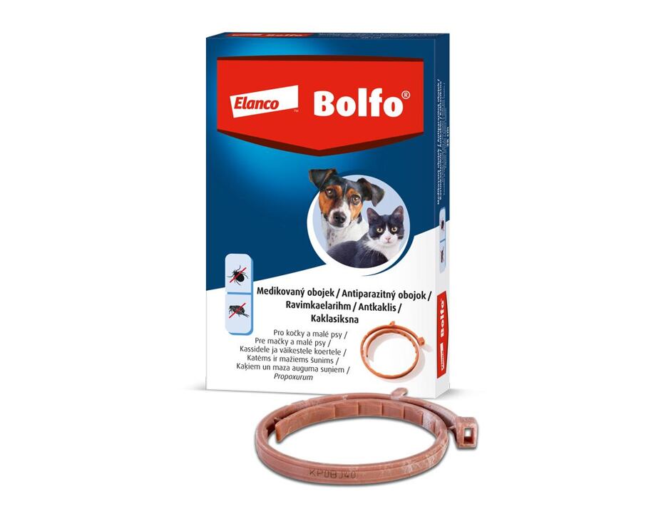 BOLFO 38cm Halsband ad u.v. (kleiner Hund, Katze)