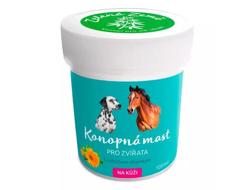 Hanfsalbe für die Haut für Tiere 100 ml