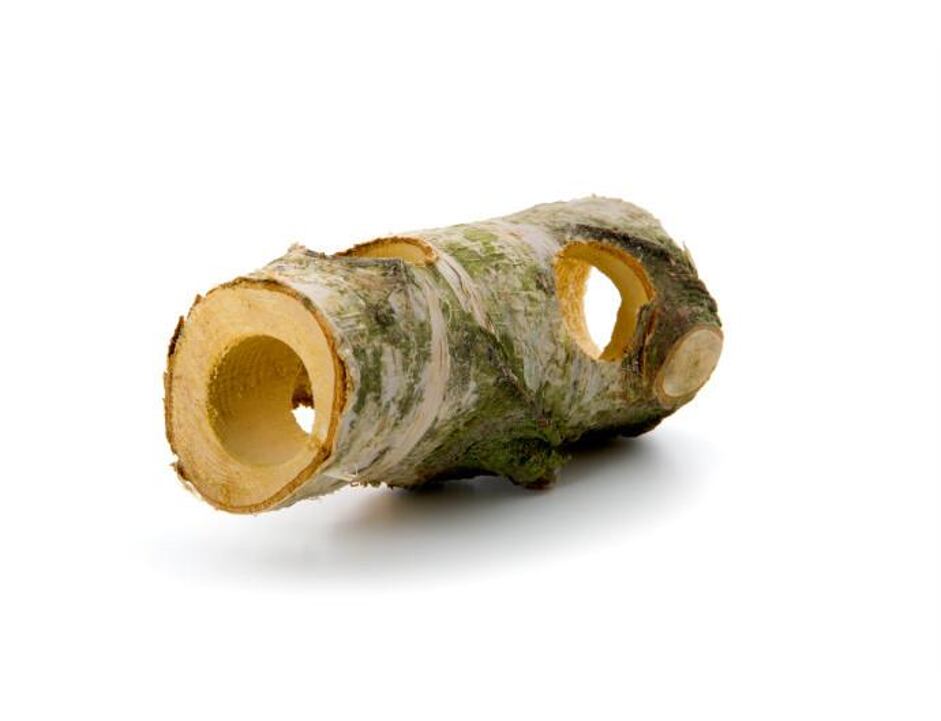 Birkentunnel 15 cm